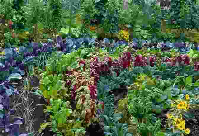 A Lush And Thriving Backyard Organic Garden With Rows Of Vegetables, Herbs, And Flowers. Backyard Vegetable Gardening: Guide To Make Your Own Backyard Organic Garden: Backyard Vegetable Garden