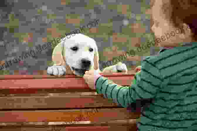 A Person Giving A Treat To A Puppy Train Your Lovely Puppy: The Best Training Tips