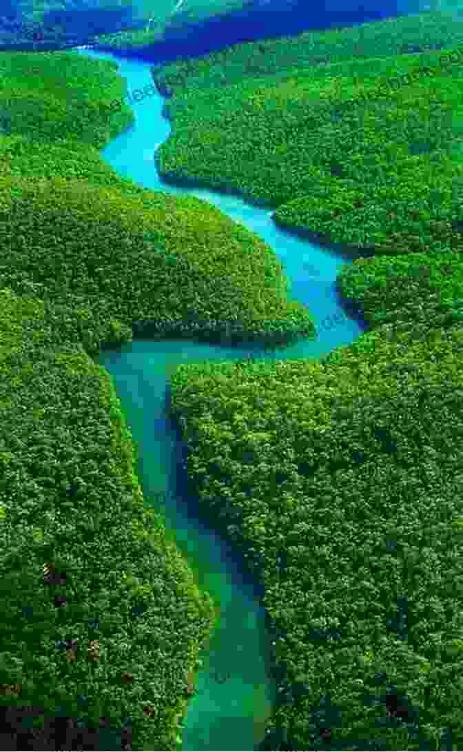 Aerial View Of The Amazonia Rainforest Amazonia Philip Nicholas