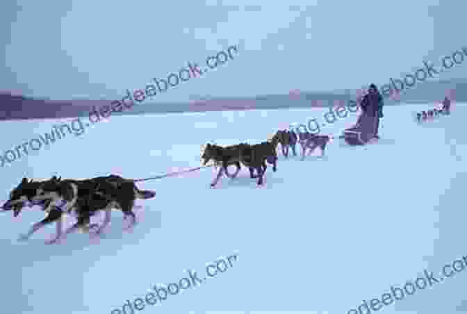 Charli Dog Sledding Across A Frozen Lake Chasing Charli (Alaska Blizzard 6)