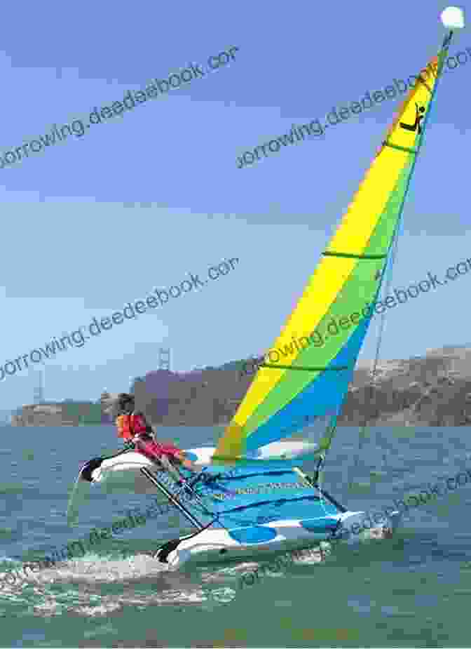 Hobie Wave, A Small Sailboat With A Single Sail Twenty Affordable Sailboats To Take You Anywhere