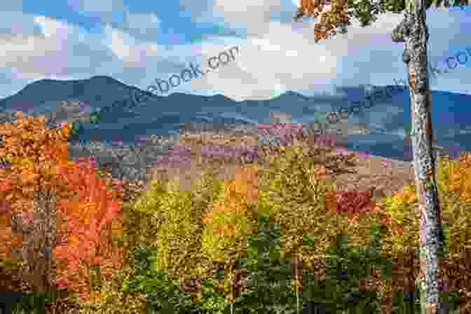 Majestic White Mountains In New Hampshire East Coast States 2 Olivia Greenwood