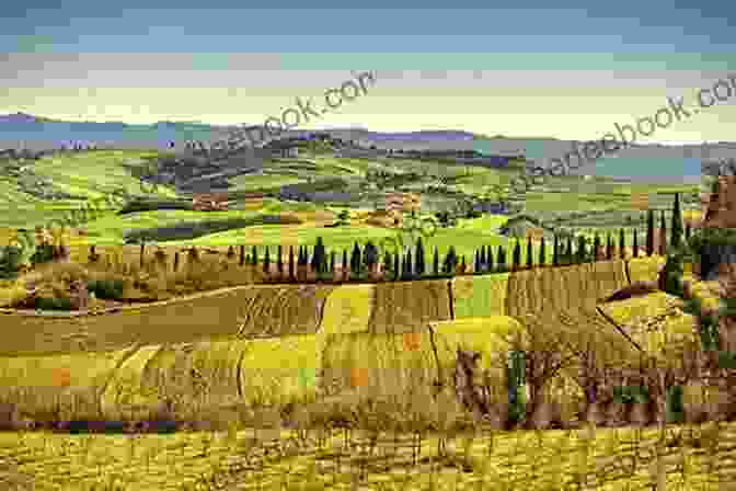 Panoramic View Of A Picturesque Italian Valley With Rolling Hills, Vineyards, And Olive Groves The Tuscan Year: Life And Food In An Italian Valley