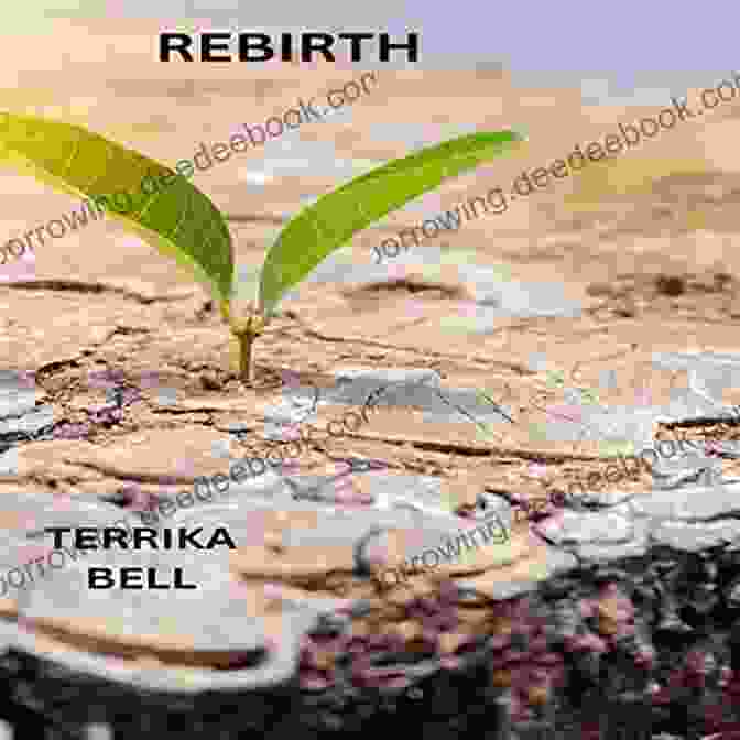 Rebirth Terrika Bell, Spiritual Teacher And Author Rebirth Terrika Bell