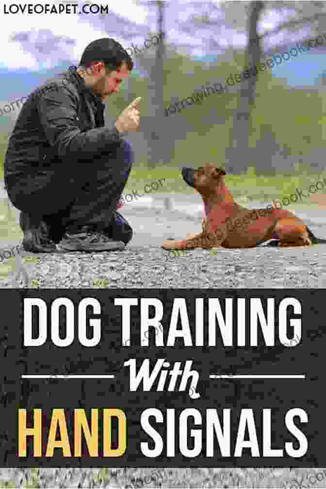 Training A Herding Dog With Basic Commands Herding Dogs: Progressive Training Vergil S Holland