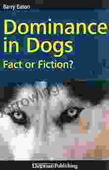 Dominance In Dogs Fact Or Fiction?