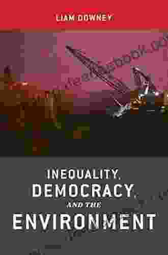 Inequality Democracy And The Environme