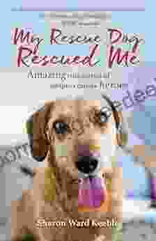 My Rescue Dog Rescued Me: Amazing True Stories Of Adopted Canine Heroes