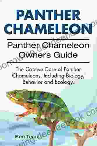 Panther Chameleon Owners Guide Including Panther Chameleons Biology Ecology And Behavior The Captive Care Of Panther Chameleons