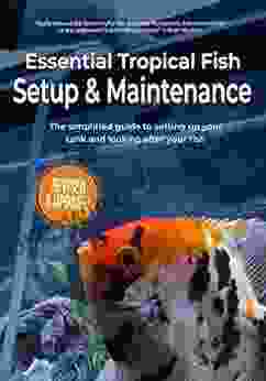 Essential Tropical Fish Setup Maintenance: The Simplified Guide To Setting Up Your Tank And Looking After Your Fish