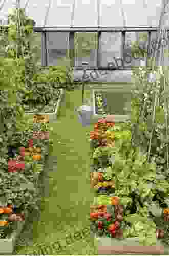 Backyard Vegetable Gardening: Guide To Make Your Own Backyard Organic Garden: Backyard Vegetable Garden