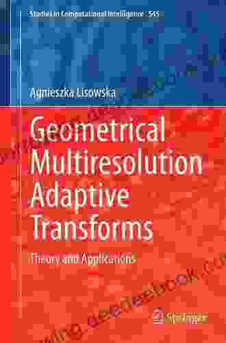 Geometrical Multiresolution Adaptive Transforms: Theory And Applications (Studies In Computational Intelligence 545)
