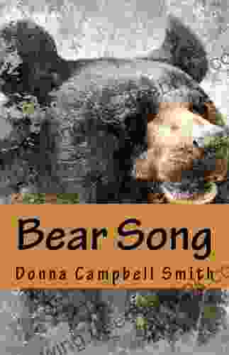 Bear Song Letts 11+