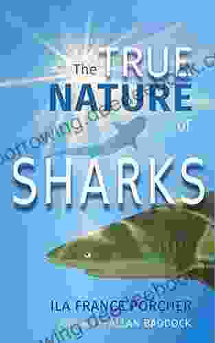 The True Nature Of Sharks
