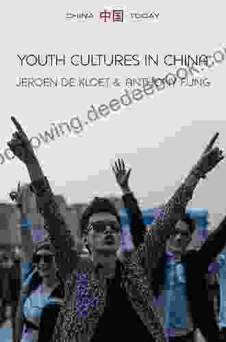 Youth Cultures In China (China Today)